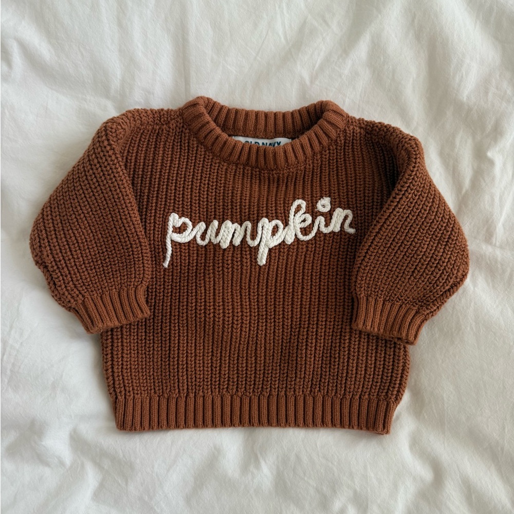 Old Navy Burnt Orange Knit Sweater with Pumpkin Embroidery